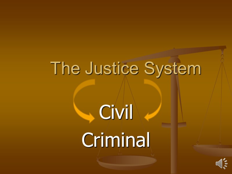 The Justice System Civil  Criminal